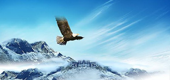 机电精神.jpg 机电精神.jpg